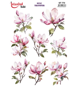 İstanbul Hobi Sulu Transfer ST770 (25x35)