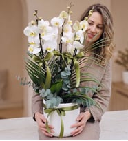 Beyaz Seramik Saksıda 3 Dallı Beyaz Phalaenopsis Orkide