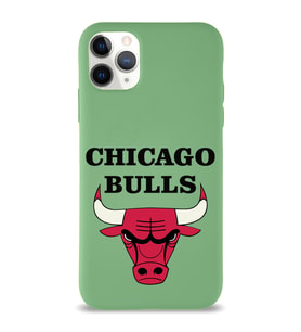 Apple iPhone 11 Pro Uyumlu Lansman Kılıf Chicago Bulls Tasarımlı Altı Kapalı İçi Kadife Kaplı  Kapak (Şeffaf)