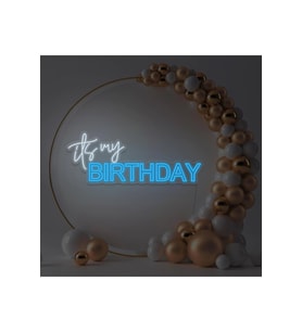 its my BIRTHDAY Yazılı Neon Tabela