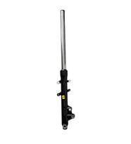 TVS RAIDER 125 SAĞ AMORTİSÖR KOMPLE N6100870