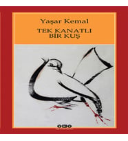 Tek Kanatlı Bir Kuş