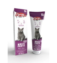 Pet Food Energy Multi Paste 100gr Multivitamin Malt (Bağışıklık Sistemi Destekleyici Tüy Yumağı Önleyici Macun)