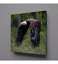 KARTAL KANVAS TABLO 30x30cm (Karışık)