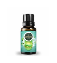 Fresh ( Oda Kokusu Aroma Terapi Buhurdanlık / Difüzör Yağı ) 10 ML