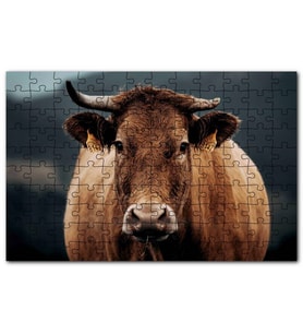 Cakapuzzle Kahverengi İnek Yakın Çekim Flu Arkaplan Puzzle Yapboz MDF (Ahşap) (120 Parça)