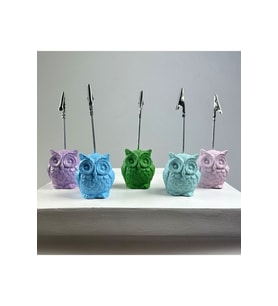 Baykuş Not Tutucu 5'li Set (açık Mavi - Nane - Pembe - Yeşil - Lila)