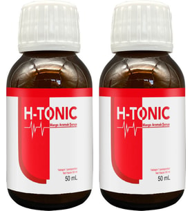 H-Tonic 2 Adet Yabani Ladin Reçinesinden&Kabuğundan Eldeedilen Bioflavonoidler Içeren Takviyeedici