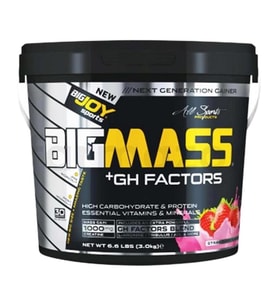BigJoy Sports Bigmass GH Factors Çilek 3 kg