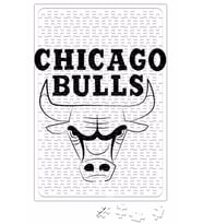 Chicago Bulls Logo Puzzle 240 Parça Yapboz