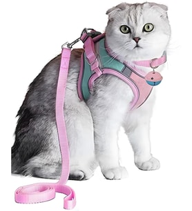 kedi tasması ve kayışı seti, yansıtıcı yumuşak dokulu ayarlanabilir yelek, dayanıklı kaçış önleyici hafif kumaş, gece güvenliği sağlayan yavru kedi ve yavru köpek için ergonomik yapı