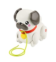 Fisher-Price Minik Dostumla Yürüyüş HTW94