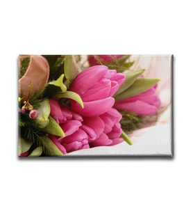 Pembe Lale Tablo ÇÇY145