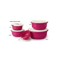 Tupperware Fuşya Mega Miksim Set Özel Kapak 5 li
