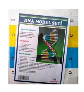 Dna Model Yapım Deney Seti 2 adet