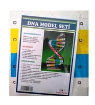 Dna Model Yapım Deney Seti 2 adet