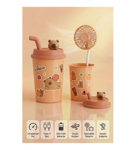 BARDAK MODEL MİNİ AYICIKLI FAN