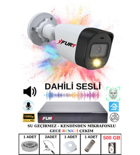 FURY 1 li Sesli Gece Renkli Görüş Güvenlik Kamerası Su Geçirmez Güvenlik Kamerası Seti 500GB