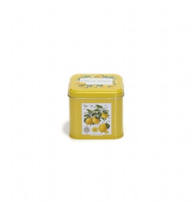 Evle SN_Citrus Limon Desenli Metal Kare Kutu, 9 x 9 x 8 cm, 0.6 lt
