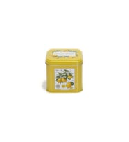 Evle SN_Citrus Limon Desenli Metal Kare Kutu, 9 x 9 x 8 cm, 0.6 lt