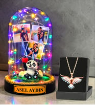 Sizlere Özel Renkli Led Işıklı Fanus ve Renkli Zümrüdü Anka Kuşu Kolye (Model 5)