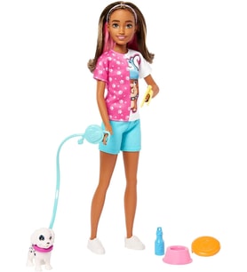 Barbie Skipper Köpek Bakıcısı Bebek Ve Aksesuarları, 3 Yaş Ve Üzeri (Çok Renkli)