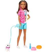 Barbie Skipper Köpek Bakıcısı Bebek Ve Aksesuarları, 3 Yaş Ve Üzeri (Çok Renkli)