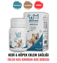 Kedi ve Köpeklerde Eklem Sağlığı Destekleyici Glukozamin Tablet Glukozamin MSM Chondroitin Move G