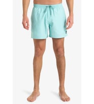 Quiksilver Everyday Solid Erkek Deniz Şortu (Mavi)