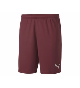 Puma Teamgoal 23 Knit Shorts Erkek Futbol Maç Şortu 70426209 Kırmızı