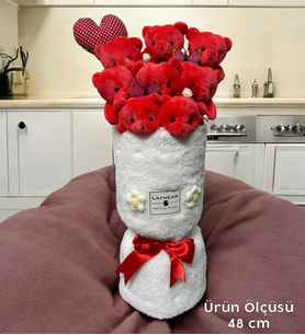 Premium Kırmızı Peluş Ayıcık Kalp Yastıklı Peluş Vazo Tasarımlı Buket