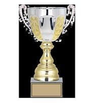 ODAK KUPA - Large Kupalar - L-061 B - 30 cm