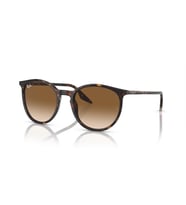 RB 2204 902/51 51 Ray-Ban Güneş Gözlüğü