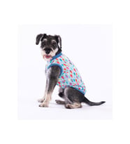 Pawstar Kedi ve KÜÇÜK Köpek T-Shirt Blop S Sırt24cm Göğüs37cm Boyun23cm
