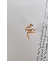YSIKIŞTIRMALI YILAN KIKIRDAK KÜPE ( EAR CUFF ) (Gold)