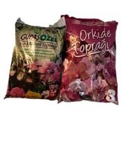 3 lt palanopsis toprağı ve 2.5 lt iç mekan toprağı