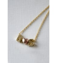 925 Ayar Gümüş Gold Kaplama Mini Üç Boyutlu H Ve S Harf Rose Kalp Kolye