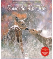 Fotoğraflarla Anlatılan Öyküler - Ormanda İlk Kar