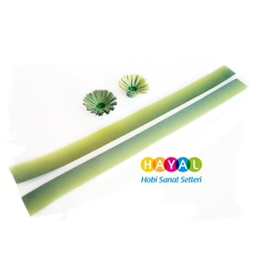 Hayal Fıstık Yeşili-Yeşil / Fıstık Yeşili-Koyu Yeşil Renk Geçişli