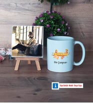 Arkeolog Fotoğraflı Dekoratif Taş, Kupa Bardak Beyaz Hediye (Model 1)