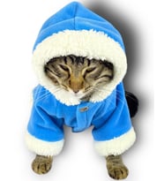 Blue Furry Kapşonlu Sweatshirt Ceket Kedi Süeteri Kıyafeti  (Mavi)
