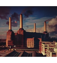 Pink Floyd Animals - Plak (Standart)