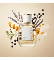 FIANENDÉI PARFUMS W-Y3 SPECIAL KADIN PARFUM 50 ML