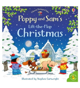 Poppy and Sam's Lift-the-Flap Christmas Usborne Publishing