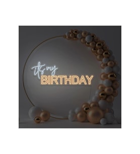 its my BIRTHDAY Yazılı Neon Tabela