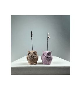 Baykuş Not Tutucu 2'li Set (pembe - Kese Kağıdı )
