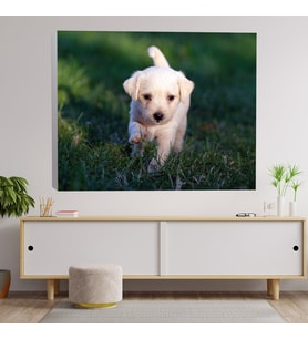 Beyaz Yavru Köpek Dekoratif Kanvas Tablo