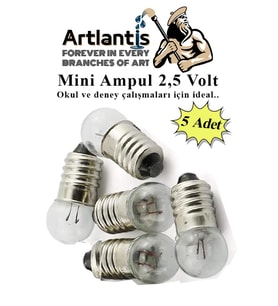 Mini Ampul 2,5 Volt 5 Adet 1 Paket Küçük Elektrik Deney Ampulü 2.5 v Okul Sınıf Elektrik Devre Deney Ampulü (Sarı)