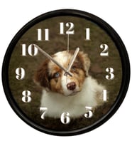 Sevimli Yavru Köpek Temalı Duvar Saati 28 Cm – Sessiz Mekanizma Dekoratif Tasarım