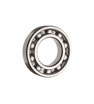 6015 SKF RULMAN